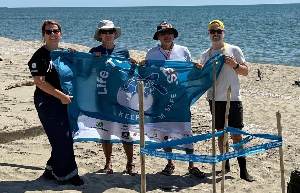 trovato a san rossore il primo nido di tartaruga marina in toscana del 2026 da Corrieretoscano.it trovato a san rossore il primo nido di tartaruga marina in toscana del 2026
