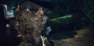 Lucca colpita dura dal maltempo fra blackout e alberi caduti