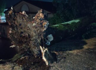 Lucca colpita dura dal maltempo fra blackout e alberi caduti