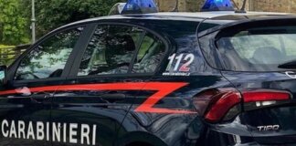 Ruba due caricabatterie e tenta la fuga: bloccato dai titolari del negozio e dai carabinieri carabinieri