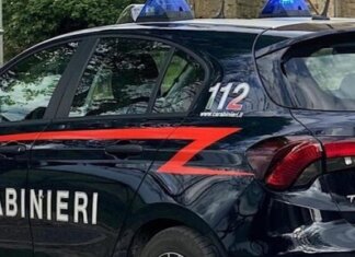 Ruba due caricabatterie e tenta la fuga: bloccato dai titolari del negozio e dai carabinieri carabinieri
