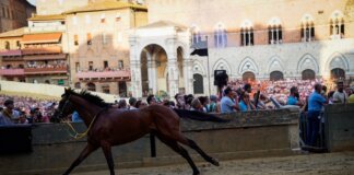 Alla Giraffa e al Bruco (scosso) seconda e terza prova del Palio