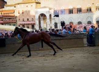 Alla Giraffa e al Bruco (scosso) seconda e terza prova del Palio