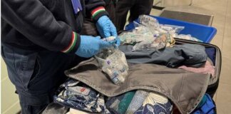 Dalla movimentazione illecita di capitali agli animali protetti: sanzione e sequestri in un anno di attività all’aeroporto di Firenze