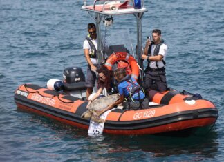 A Marina di Ravenna torna la ‘Festa della cozza’