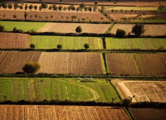 Banca nazionale delle Terre Agricole (Bta), al via nona edizione: in vendita 8.863 ettari per un valore di oltre 121 milioni di euro