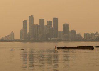 Canada, oltre 200 incendi fuori controllo: fumo ‘invade’ gli Usa