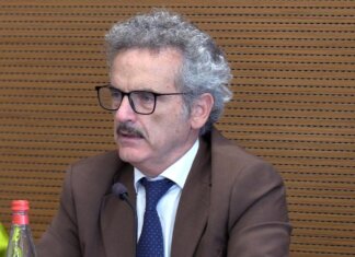 Energia, Felici (Mase): “Puntare su più fonti, non su un’unica soluzione per la decarbonizzazione”