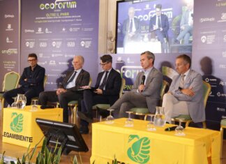 Energia: indagine, per 44% governo deve incentivare rinnovabili