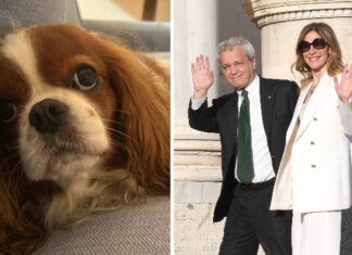 Fagnani e Mentana, addio alla cagnolina Bice: “Il dolore è profondo”