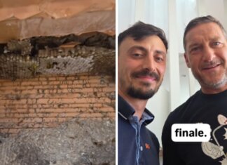 Francesco Totti, la casa invasa da vespe germaniche: il racconto del ‘salvataggio’