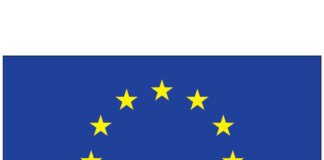 Francia, stop ai social per gli under 15: approvata la legge