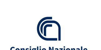 Il Cnr rivela che oltre il 43% degli studenti è stato interessato da episodi di violenza giovanile