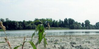 Imprese e water risk, rischio elevato ma scarsa percezione