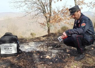 Incendi, Carabinieri Forestali: “98% causati dall’uomo, in primi 6 mesi 3800 ettari bruciati”