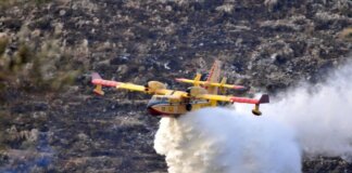 Incendi Italia, in sette mesi più di 1070 grandi roghi boschivi