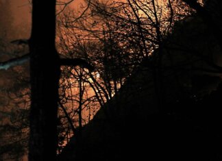Incendi, Vigili del fuoco al lavoro dal Piemonte al Sud: “Bruciati +15% ettari rispetto a scorso anno”