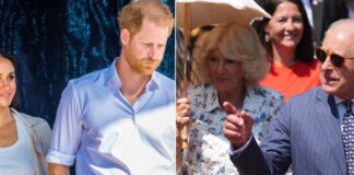 Incontro di Re Carlo con Harry, Meghan e i loro figli