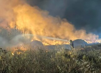 Infermo di fuoco a Maracalagonis, incendio domato: il post della sindaca