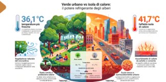 Isole di calore urbane, fino a -4°C con più alberi e suoli naturali