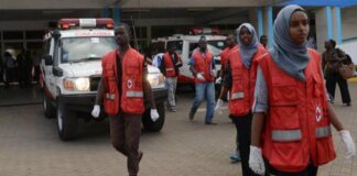 Kenya, turista italiana muore in un incidente stradale
