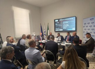 La sfida tecnologica della produttività nei servizi per le micro imprese italiane