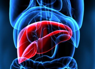 Mash, esperti a confronto su importanza diagnosi per patologia epatica sottovalutata