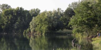 Milano, violentata mentre fa jogging al parco: si salva mordendo l’aggressore, arrestato 26enne