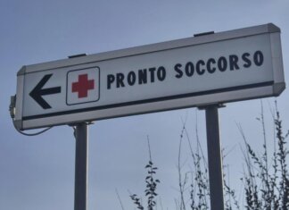 Morso di zecca e rischio encefalite, Bassetti: “Grave infezione virale, massima attenzione”