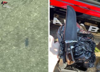Omicidio 19enne a Crema, trovato un coltello nell’Adda