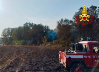 Vasto incendio di vegetazione nelle vicinanze della piscina di Peccioli