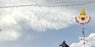 Cane resta in bilico su un tetto, salvato dai vigili del fuoco