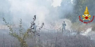 In fiamme terreni incolti e una porzione di bosco a Manciano