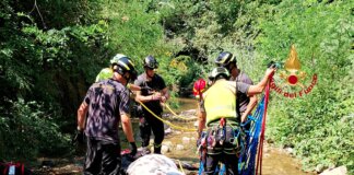 Soccorso un cavallo caduto e finito accidentalmente nel letto del torrente Levisone