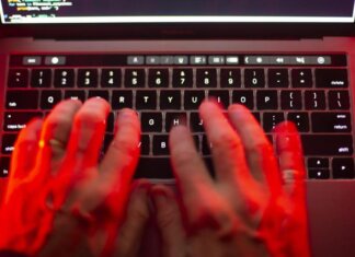 Pianificavano in chat stupri a mogli e compagne, 57 arresti in tutta Europa