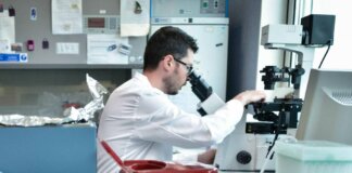 Ricerca, stretta Usa su studi ad alto rischio, stop fondi a test su virus potenziati