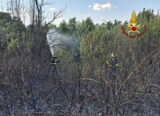 Roma, da via Pineta Sacchetti a Cinecittà: diversi incendi nella Capitale e dintorni