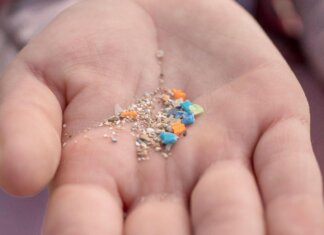 Salute, studio italiano: “Infarti più gravi con microplastiche, fumo e inquinamento”