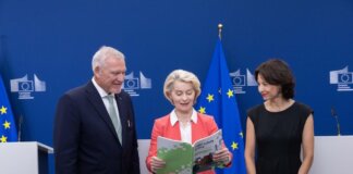 Sicurezza online e difesa sono le priorità degli europei nel sondaggio Eurobarometro
