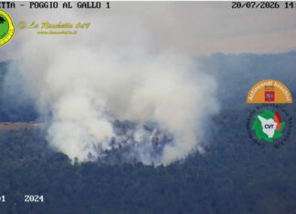Fiamme sospinte dal vento nella zona di Bagnaia a Sovicille