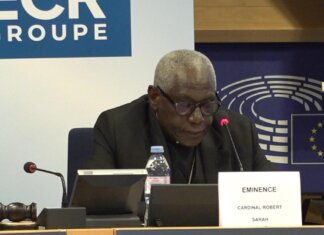Ue, card. Sarah: “No a colonizzazione ideologica Africa, ma sussidiarietà autentica”