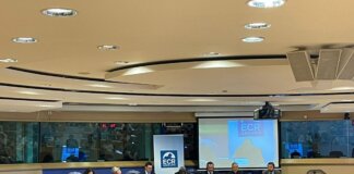 Ue, strumenti di cooperazione per sviluppo Africa, incontro a Bruxelles con cardinale Sarah