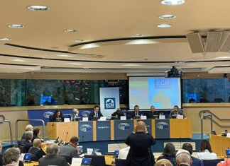 Ue, strumenti di cooperazione per sviluppo Africa, incontro a Bruxelles con cardinale Sarah