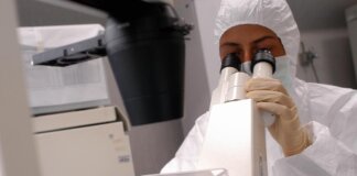 WorldPride, timori autorità sanitarie per la dermatofilosi, cos’è e come si trasmette