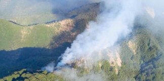 Incendio boschivo a Vicchio: 15 ettari distrutti, in azione la flotta regionale incendio Vicchio