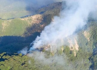 Incendio boschivo a Vicchio: 15 ettari distrutti, in azione la flotta regionale incendio Vicchio