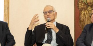 Ail rinnova il Comitato scientifico, Corradini presidente e Locatelli tra i componenti