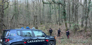 Carabinieri smantellano un bivacco per lo spaccio nei boschi di Trequanda