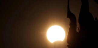 Eclissi, anche gli animali la vedranno: i consigli per non farli agitare