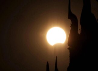 Eclissi, anche gli animali la vedranno: i consigli per non farli agitare